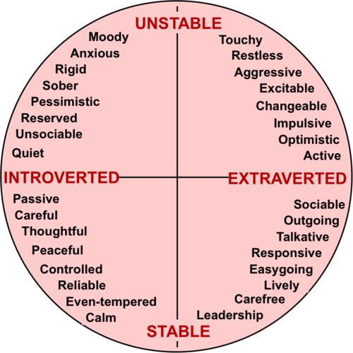 The Introvert / Extrovert Scale. Unstable.Stable. Introverted. Extroverted.